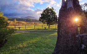Whipstock Guest Farm